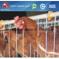 Factory Outlet Super Strong and Durable Chicken Cage